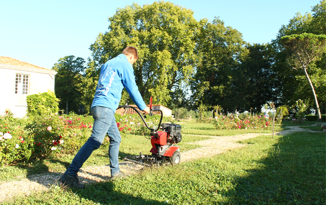 Outil de désherbage mécanique pour le jardin et les allées