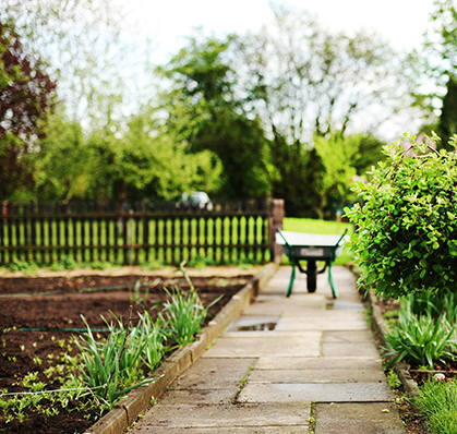 jardinage-entretien-pelouse