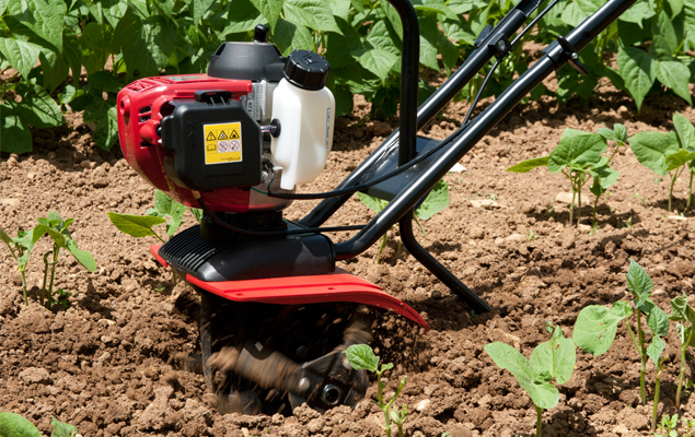 utilisation d'une motobineuse pour cultiver son potager et obtenir de bons légumes