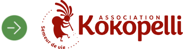 logo-kokopelli