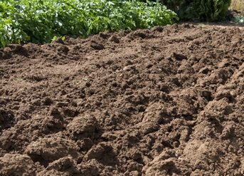 travail de la terre avec l'accessoire fraises pour motoculteurs et motobineuses